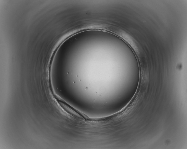 X0000097621436200802291315