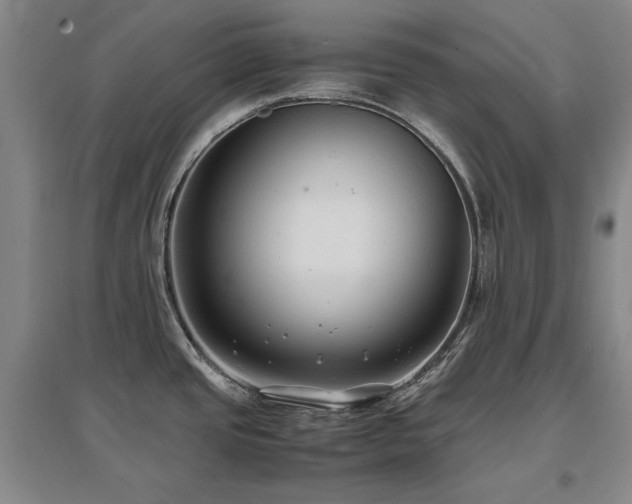 X0000097621437200802291315