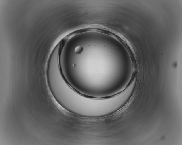 X0000097621438200802291315