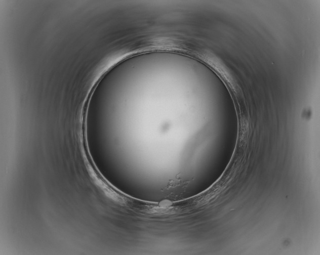 X0000097621439200802291315