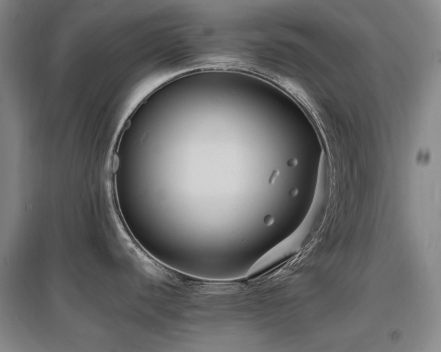 X0000097621440200802291315