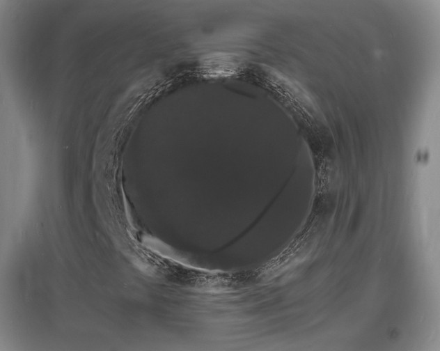 X0000097621441200802291314