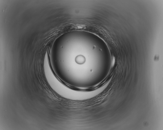 X0000097621442200802291314
