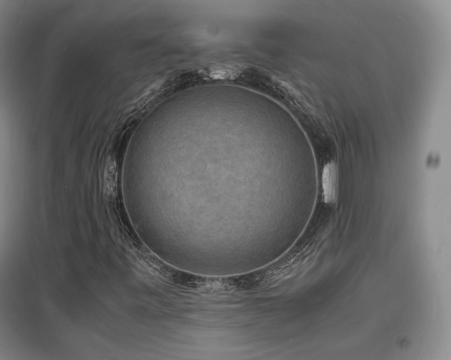 X0000097621443200802291314