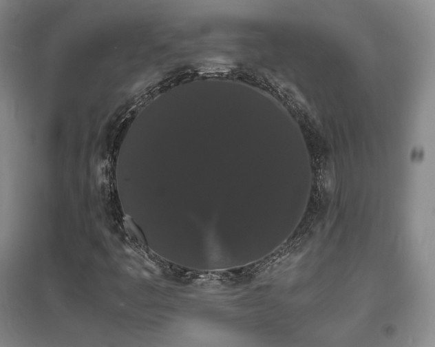 X0000097621445200802291314