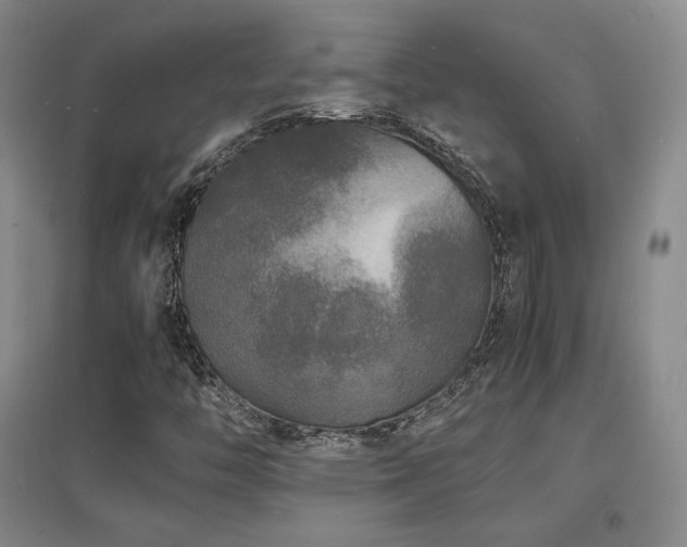 X0000097621446200802291314