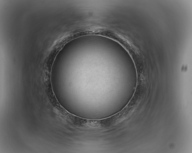 X0000097621447200802291314