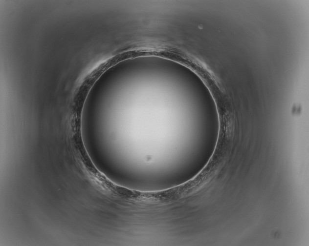 X0000097621448200802291314