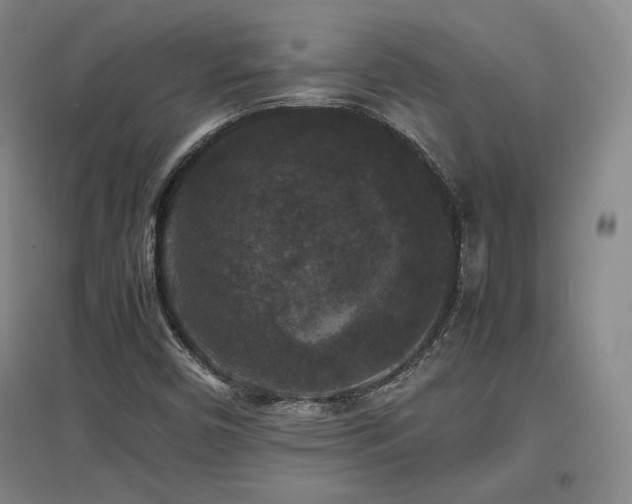 X0000097621450200802291314