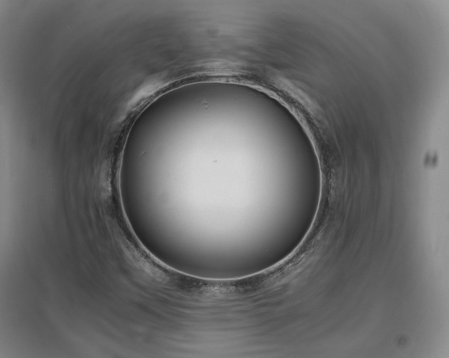 X0000097621451200802291314
