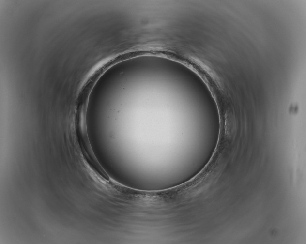 X0000097621452200802291314