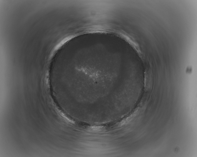 X0000097621453200802291314