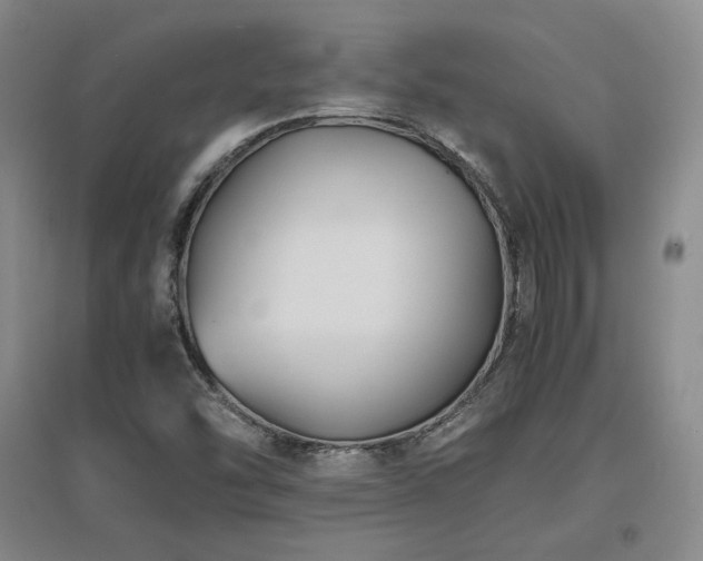 X0000097621454200802291314