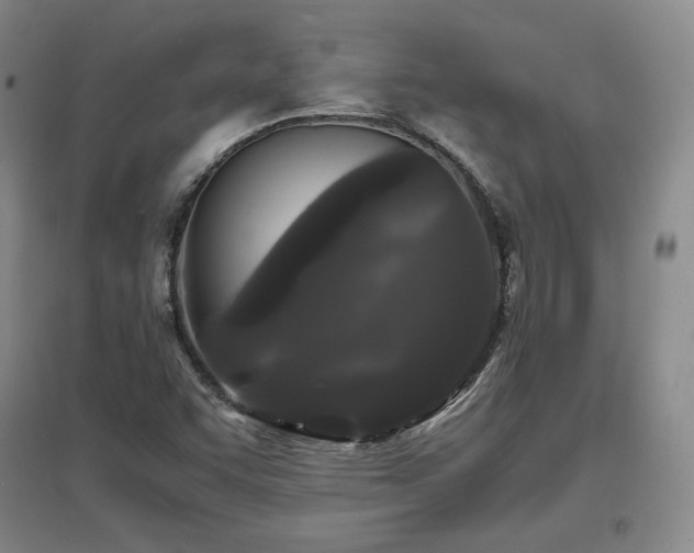 X0000097621455200802291314