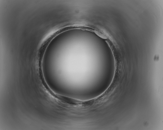 X0000097621456200802291314