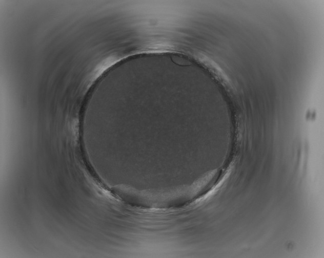 X0000097621457200802291314