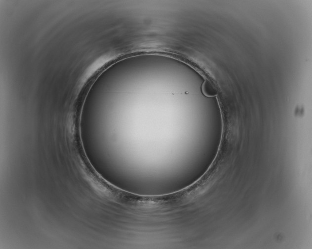 X0000097621458200802291314