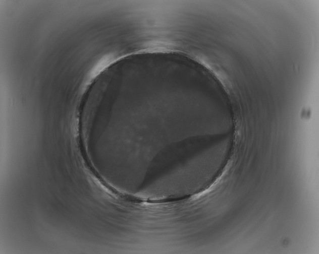X0000097621459200802291314
