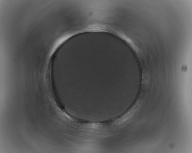 X0000097621461200802291314