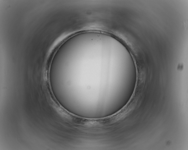 X0000097621462200802291314