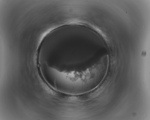 X0000097621463200802291314