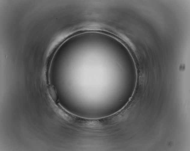 X0000097621464200802291314