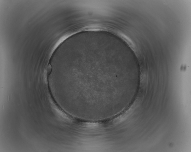 X0000097621465200802291314