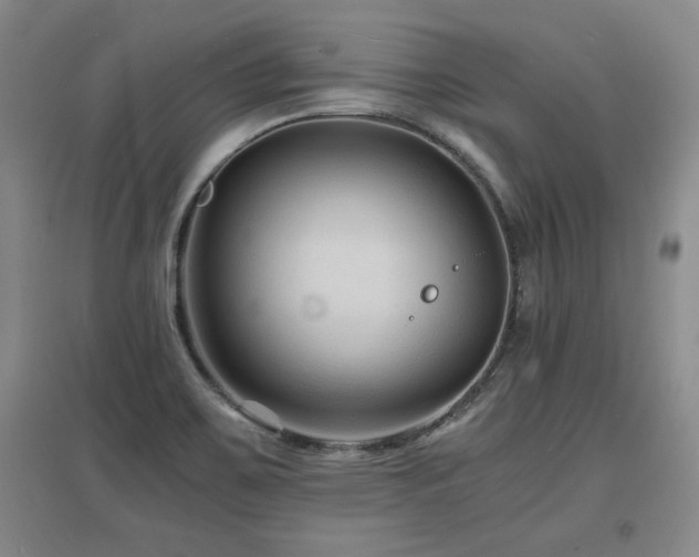 X0000097621467200802291314