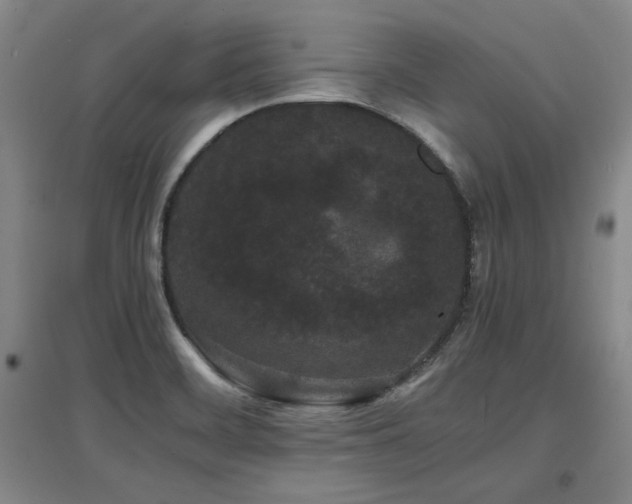 X0000097621468200802291314