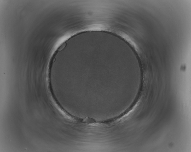 X0000097621469200802291314