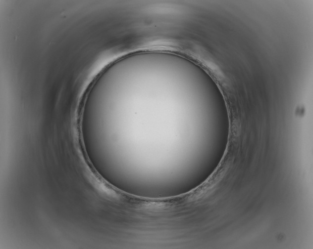X0000097621470200802291314