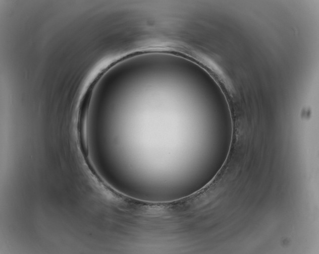 X0000097621472200802291314
