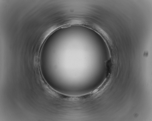 X0000097621473200802291314