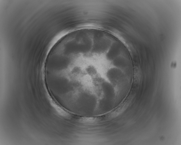 X0000097621474200802291314