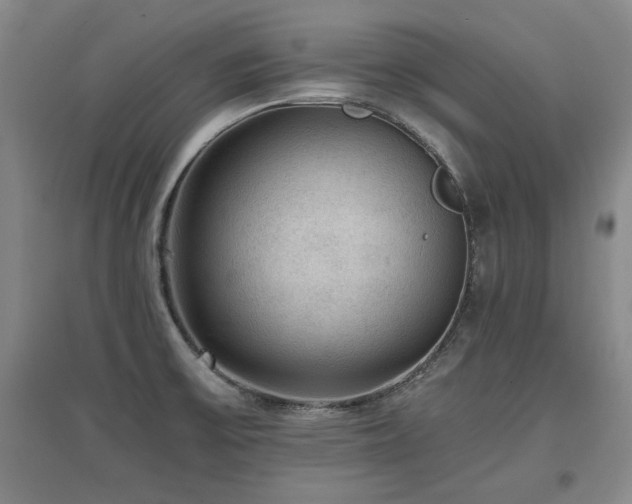 X0000097621475200802291314