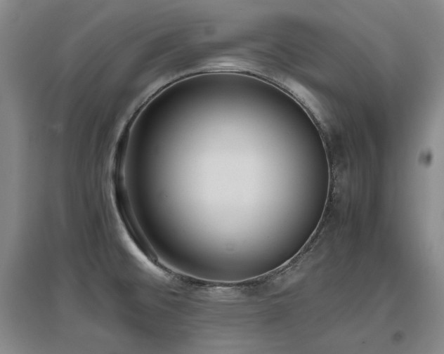 X0000097621476200802291314