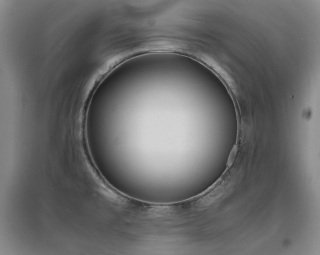 X0000097621477200802291314