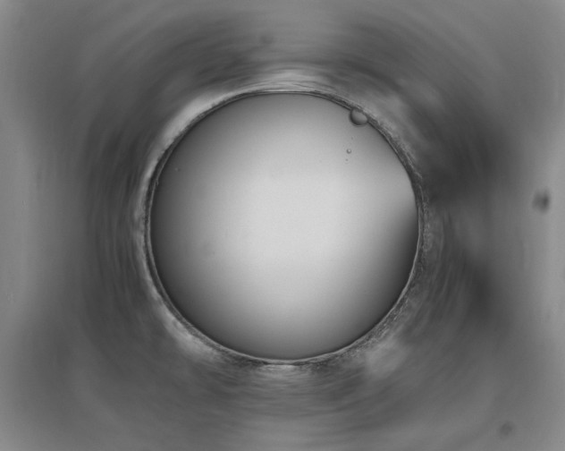 X0000097621478200802291314