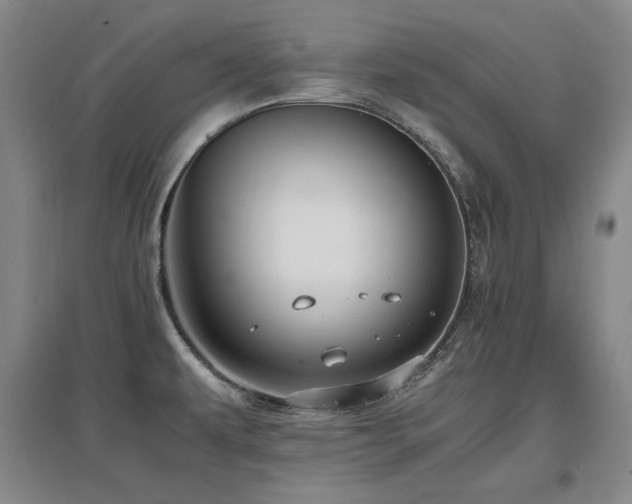 X0000097621479200802291314