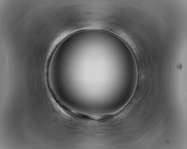 X0000097621480200802291314