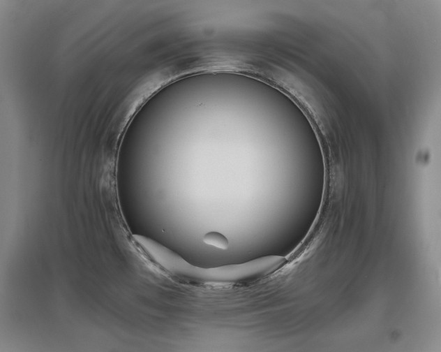 X0000097621481200802291314