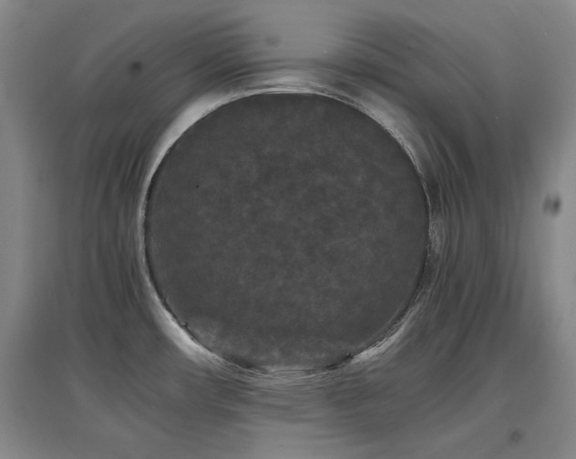 X0000097621482200802291314