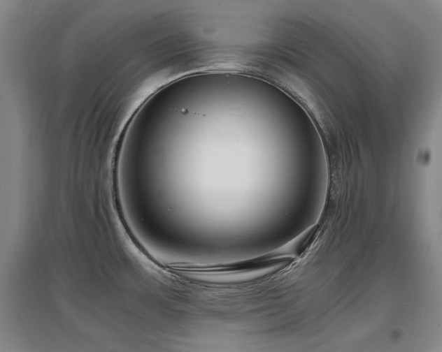 X0000097621483200802291314