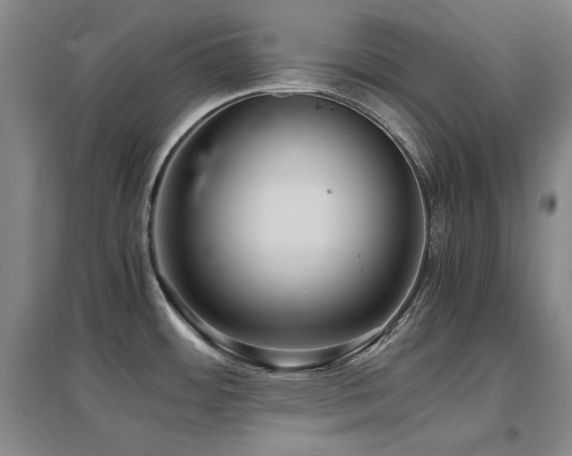 X0000097621484200802291314