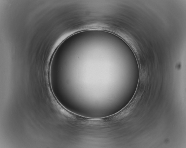 X0000097621486200802291314