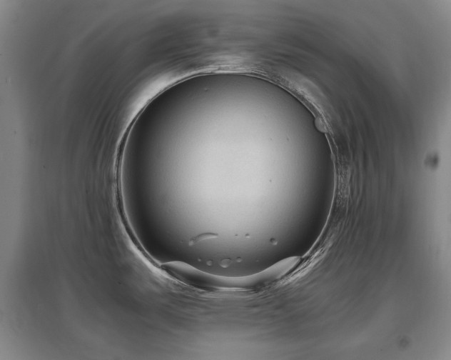 X0000097621487200802291314