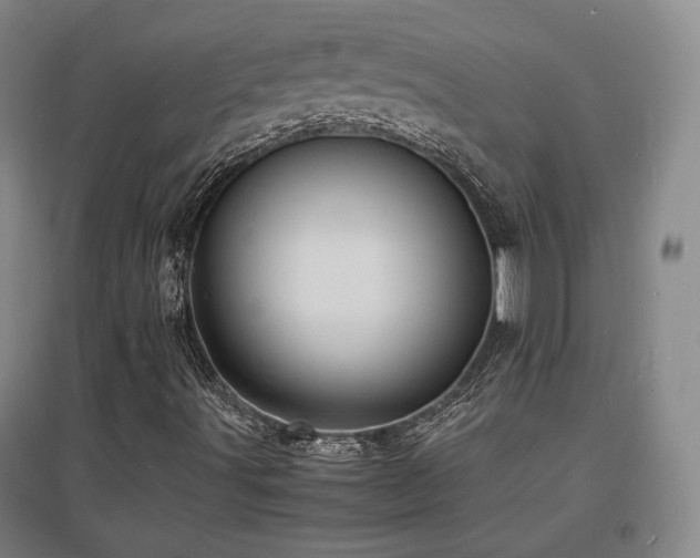 X0000097621491200802291313
