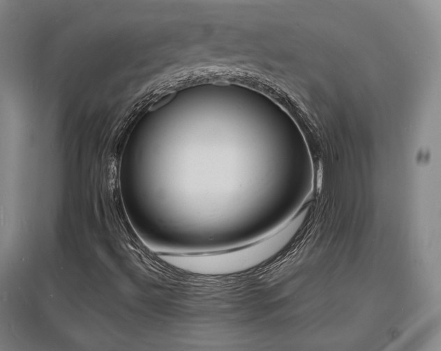 X0000097621492200802291313