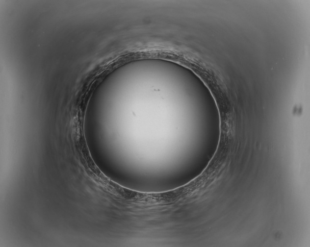 X0000097621493200802291313