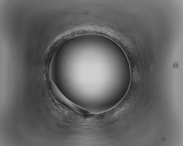 X0000097621494200802291313
